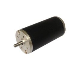 Mua φ40mm OD: D40 Series 40ZYT DC Motors cho bơm Pnumatic, Dụng cụ cầm tay điện và quạt thổi online manufacture