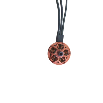 Mua LN2207D24-001 online manufacture